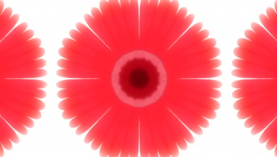 cacona.png