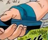 penis de vell.png