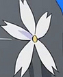 908089890809890.png