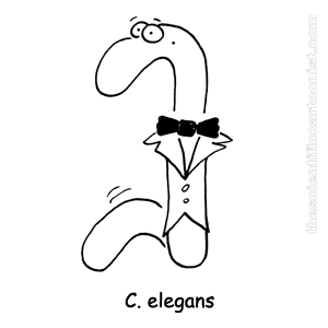 h.png